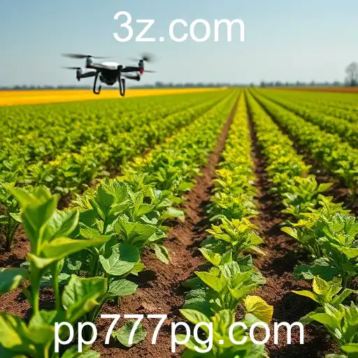 Expansão e Influência do PP777 no Cenário de Jogos em 2025